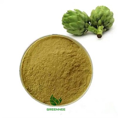 Þistilblaðaþykkni klórógensýra 2%-5%