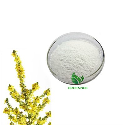 Verbascoside 98% cas 61276-17-3