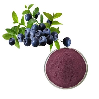 Bláberjaþykkni duft