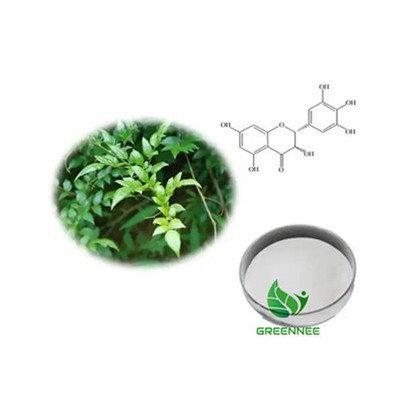 Dihydromyricetin 98%