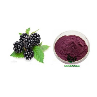 Frysta þurrkað brómberduft