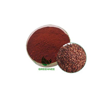 Grape fræútdráttur OPC 95%(UV)