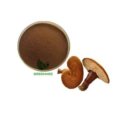 Reishi Sveppir duft 30% Polysaccharides +20% -glucan