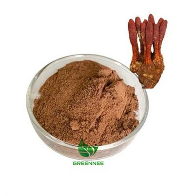 Songaria Cynomorium Herb Extract 10:1 Til 200:1