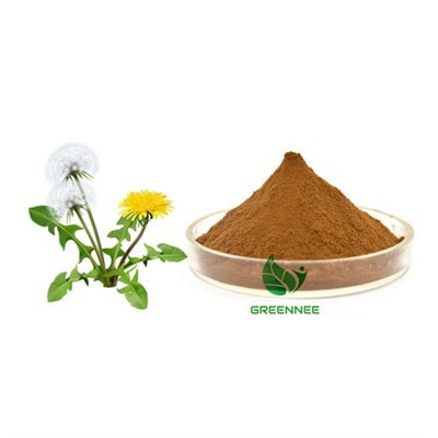 Taraxacum officinale útdrætti túnfífill flavonoids 84775-55-3